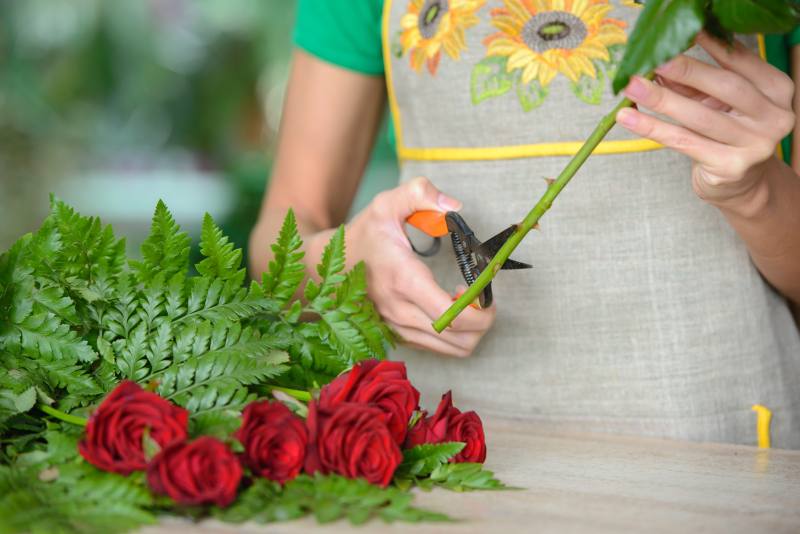 Sposoby na wydłużenie okresu kwitnienia róży oraz pielęgnacja, by utrzymać ich piękno przez długi czas