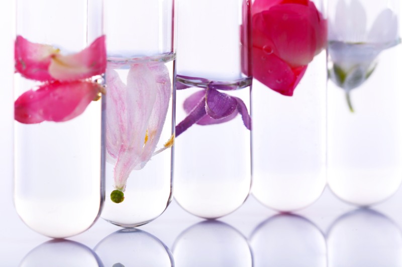 Jak utrzymać świeże kwiaty cięte w wazonie przez dłuższy czas